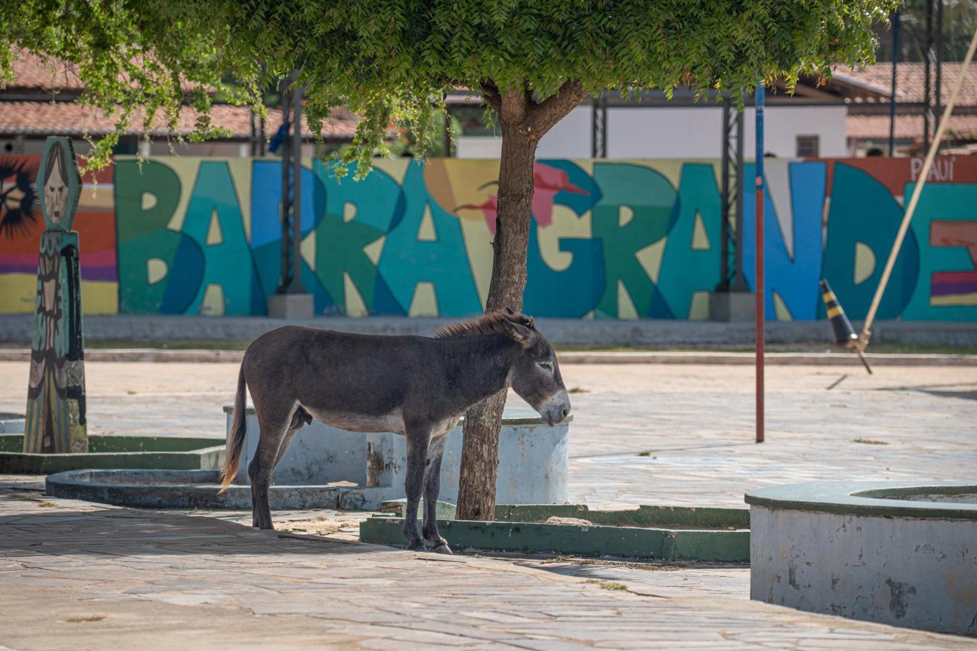 Arrey Hotel Boutique Barra Grande  Dış mekan fotoğraf